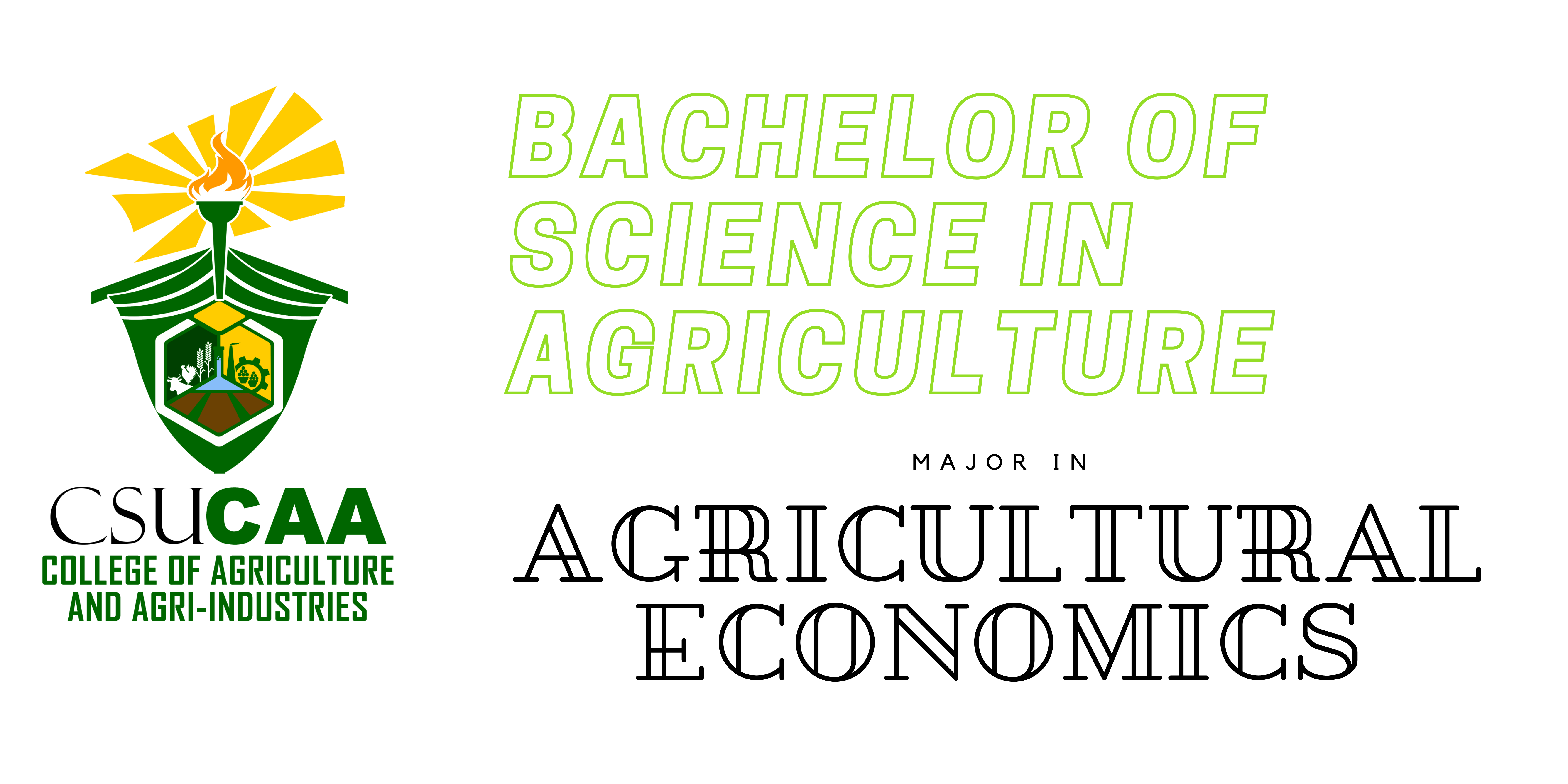 bachelor-of-science-in-financial-economics